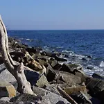Apartamento Urlaub Auf Der Insel Ruegen