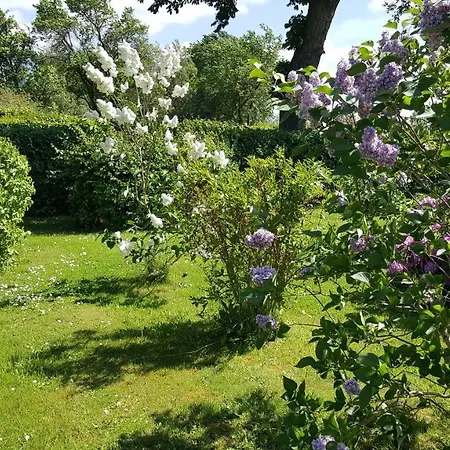 Urlaub Auf Der Insel Rugen * Bergen Auf Rugen