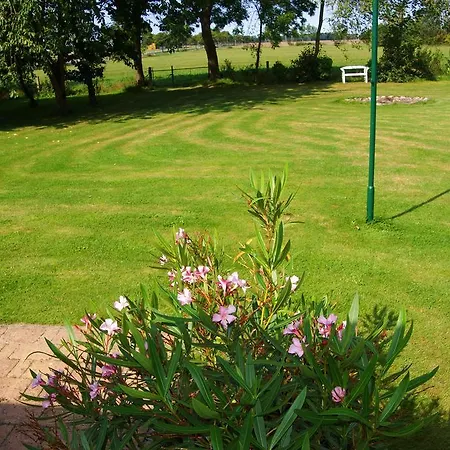 Urlaub Auf Der Insel Rügen Bergen Auf Rugen